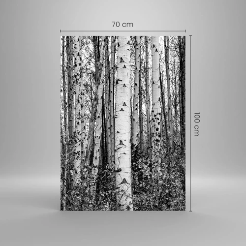 Glass picture - Birch Colonnade - 70x100 cm