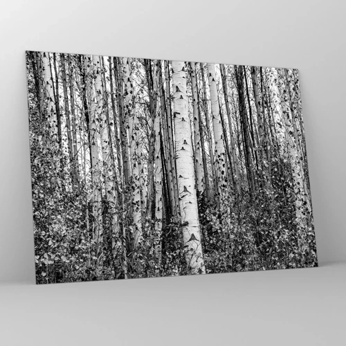 Glass picture - Birch Colonnade - 70x50 cm