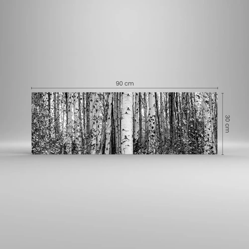 Glass picture - Birch Colonnade - 90x30 cm