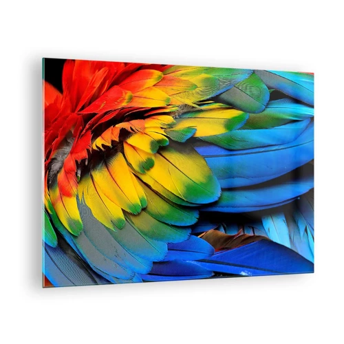 Glass picture - Bird Of Paradise - 70x50 cm