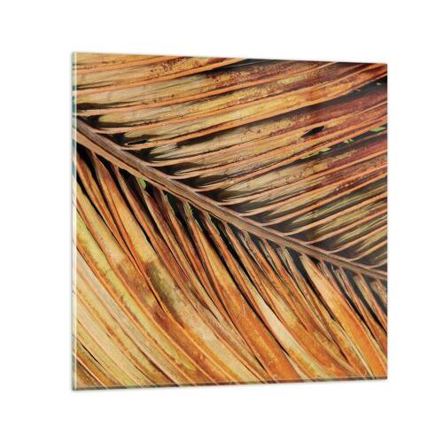 Glass picture - Coconut Gold - 70x70 cm