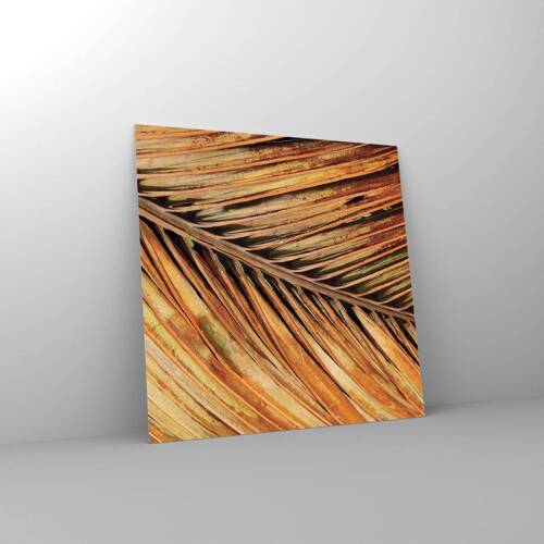 Glass picture - Coconut Gold - 70x70 cm