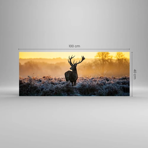 Glass picture - Crowned in Its Kingdom - 100x40 cm