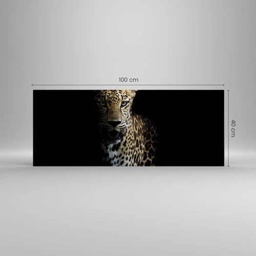 Glass picture - Dark Beauty - 100x40 cm