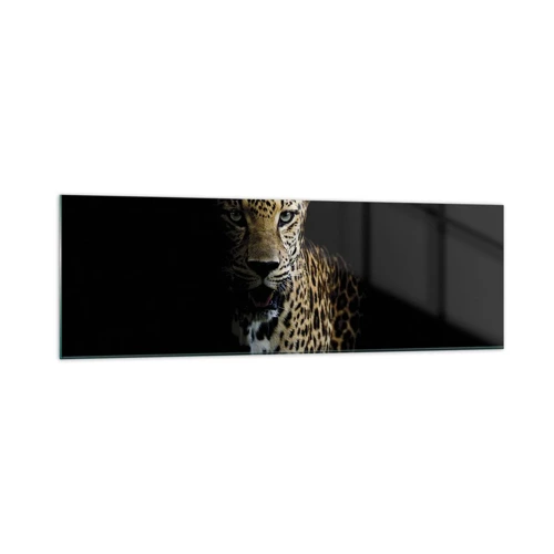 Glass picture - Dark Beauty - 160x50 cm