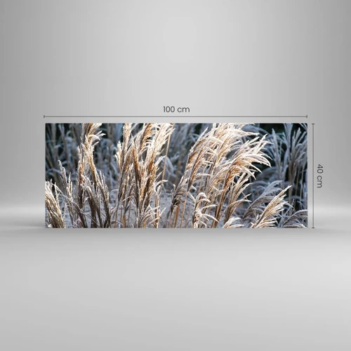 Glass picture - Decorated with Frost - 100x40 cm