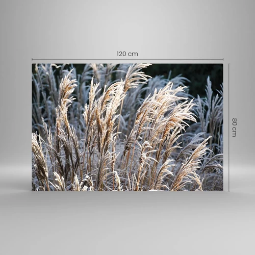 Glass picture - Decorated with Frost - 120x80 cm
