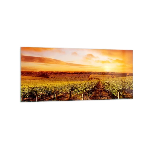 Glass picture - Delicatly Fruity with a Note of the Sun - 120x50 cm