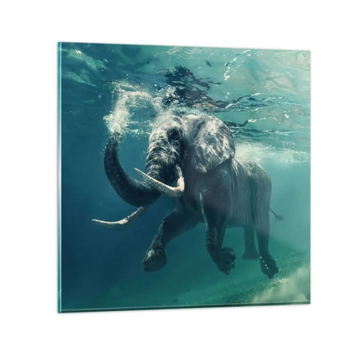 Glass picture - Everyone Likes to Swim - 60x60 cm