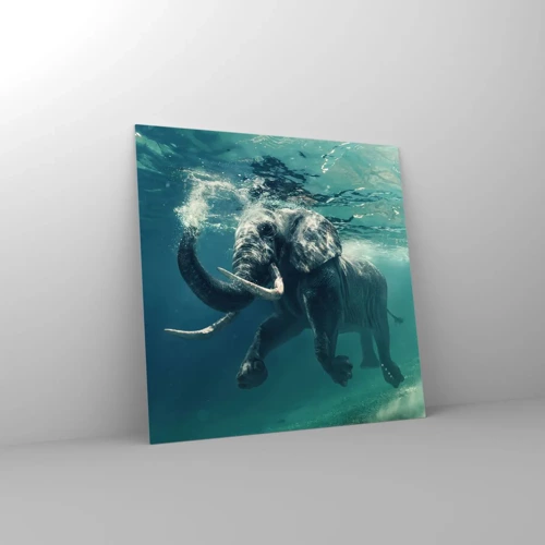 Glass picture - Everyone Likes to Swim - 60x60 cm