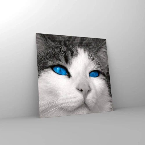 Glass picture - Extremely Blue-eyed - 40x40 cm