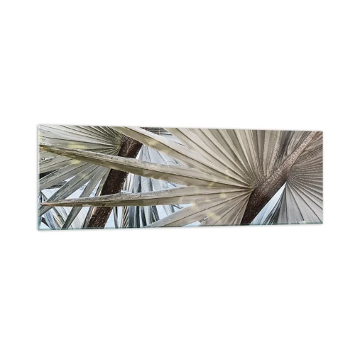 Glass picture - Fans in tropics - 160x50 cm