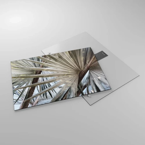 Glass picture - Fans in tropics - 70x50 cm