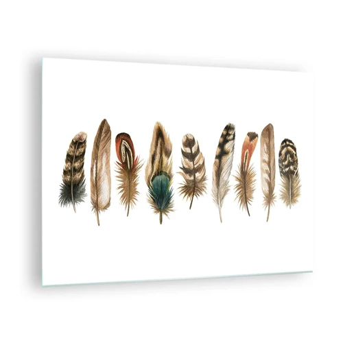 Glass picture - Feather Variation - 70x50 cm