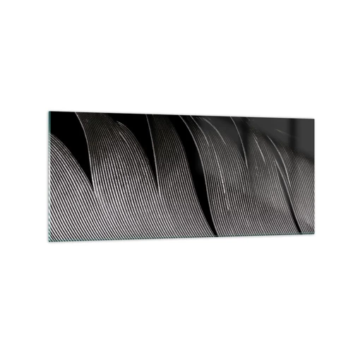 Glass picture - Feather - Wonderful Constract - 120x50 cm