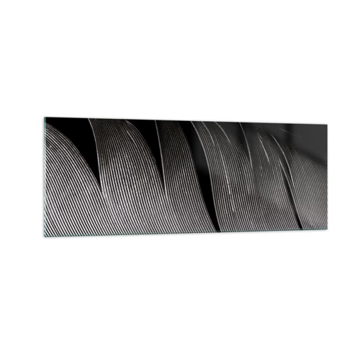 Glass picture - Feather - Wonderful Constract - 140x50 cm