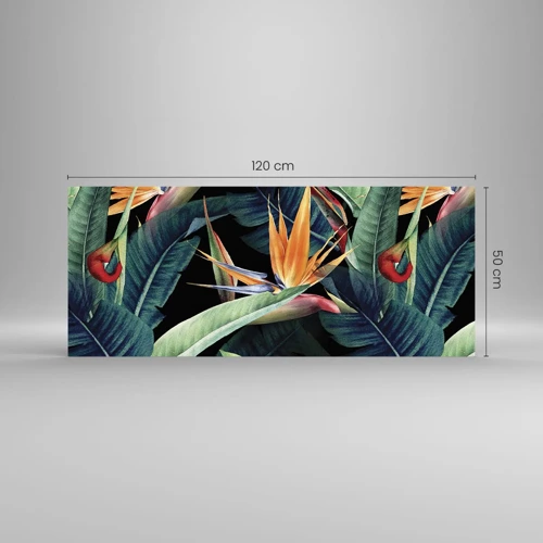 Glass picture - Flaming Flowers of the Tropics - 120x50 cm