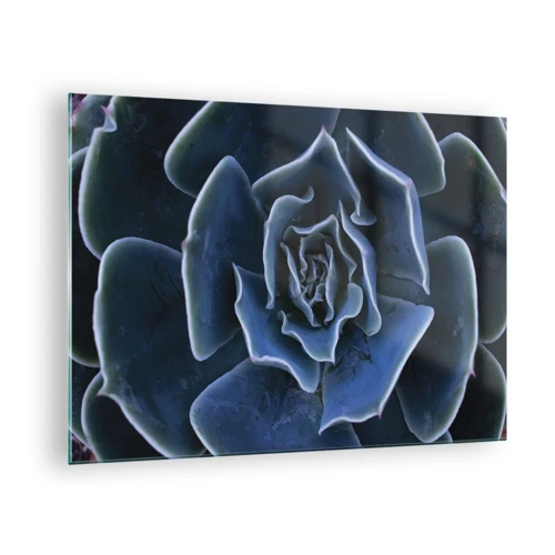 Glass picture - Flower of the Desert - 70x50 cm