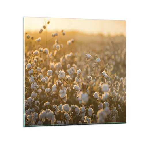 Glass picture - Fluffy Field - 30x30 cm