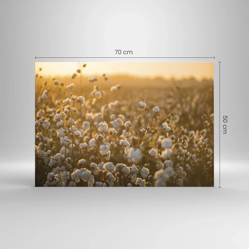 Glass picture - Fluffy Field - 70x50 cm