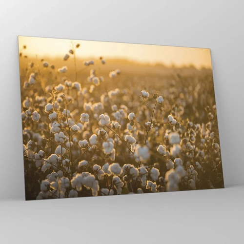 Glass picture - Fluffy Field - 70x50 cm