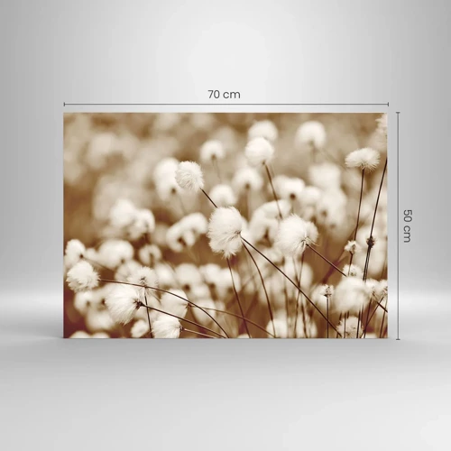 Glass picture - Fluffy field - 70x50 cm