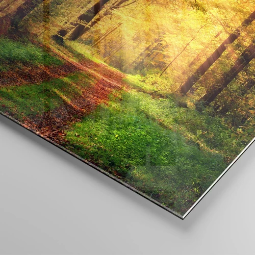 Glass picture - Forest Golden silence - 160x50 cm