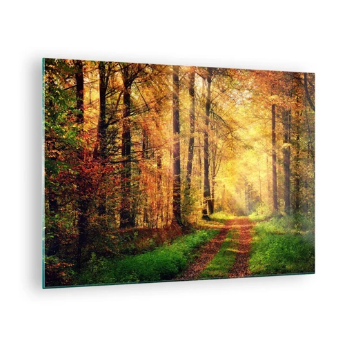 Glass picture - Forest Golden silence - 70x50 cm