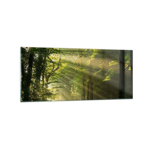 Glass picture - Forest Moment - 120x50 cm