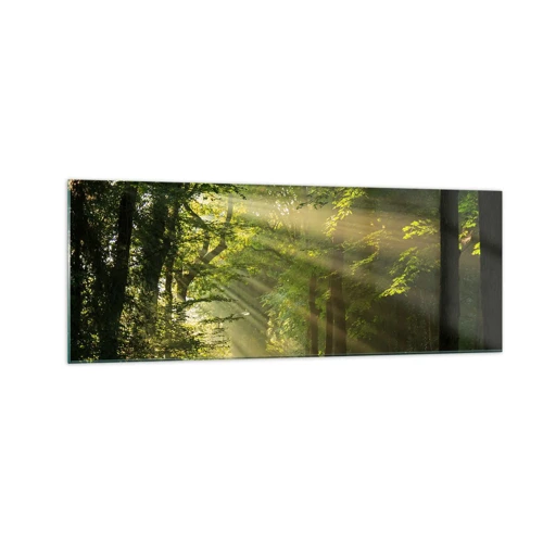 Glass picture - Forest Moment - 140x50 cm