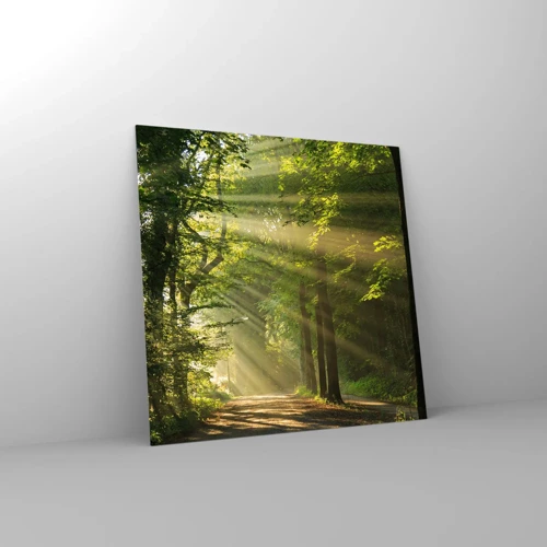 Glass picture - Forest Moment - 50x50 cm