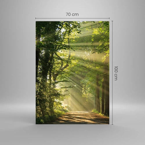 Glass picture - Forest Moment - 70x100 cm