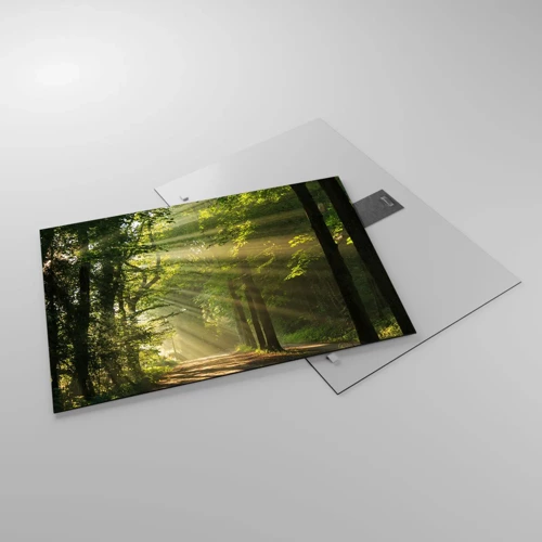Glass picture - Forest Moment - 70x50 cm