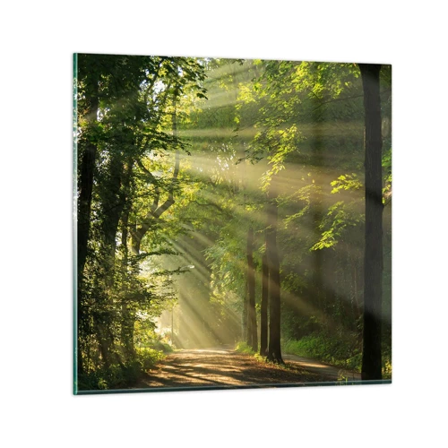 Glass picture - Forest Moment - 70x70 cm