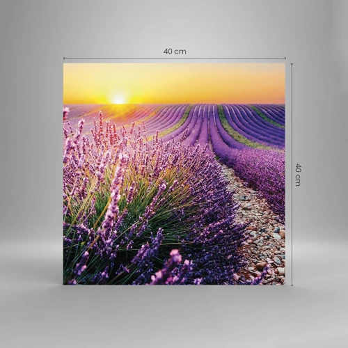 Glass picture - Fragrant Field - 40x40 cm