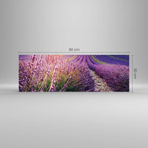 Glass picture - Fragrant Field - 90x30 cm