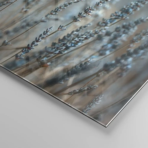 Glass picture - Fragrant Grass - 40x40 cm