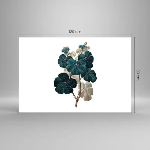 Glass picture - From the Old Herbarium - 120x80 cm
