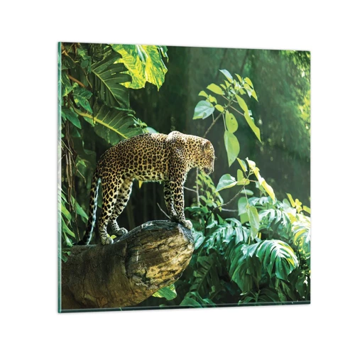 Glass picture - Going Hunting? - 60x60 cm