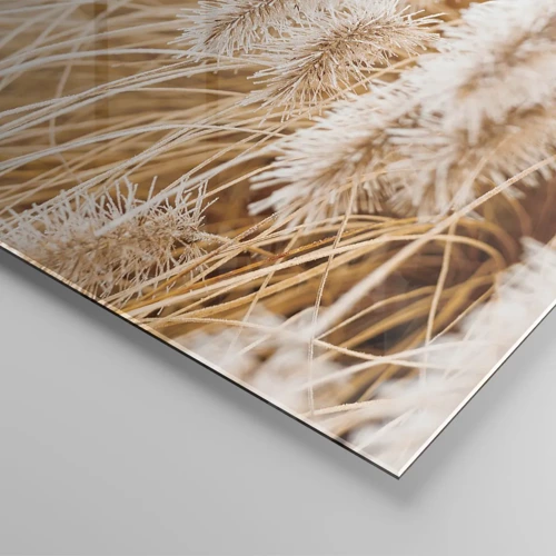 Glass picture - Golden Rustling of Grass - 120x80 cm