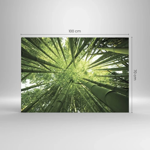 Glass picture - In a Bamboo Forest - 100x70 cm