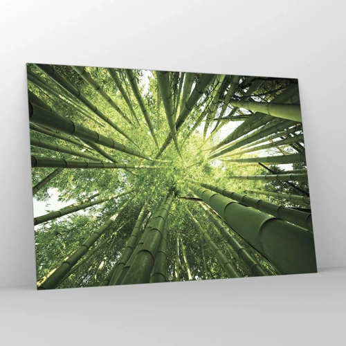 Glass picture - In a Bamboo Forest - 100x70 cm