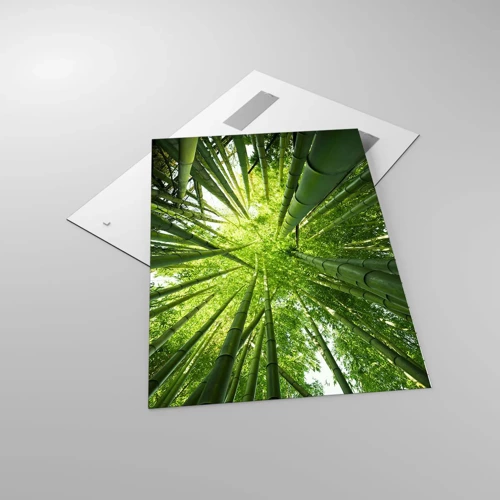 Glass picture - In a Bamboo Forest - 70x100 cm