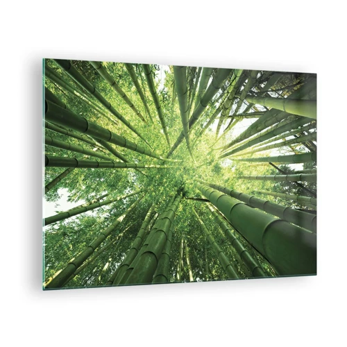 Glass picture - In a Bamboo Forest - 70x50 cm