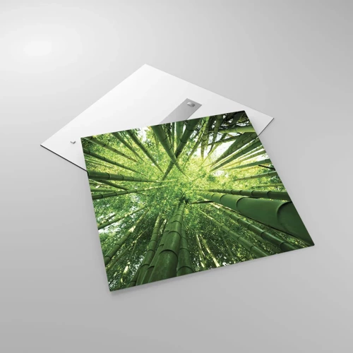 Glass picture - In a Bamboo Forest - 70x70 cm