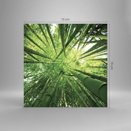 Glass picture - In a Bamboo Forest - 70x70 cm