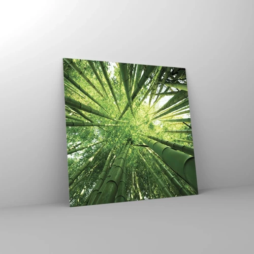 Glass picture - In a Bamboo Forest - 70x70 cm