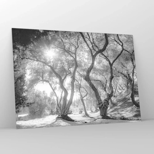 Glass picture - In an Olive Grove - 100x70 cm