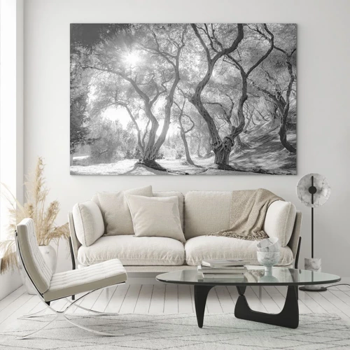 Glass picture - In an Olive Grove - 120x80 cm