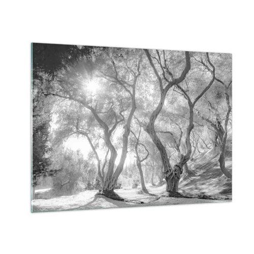 Glass picture - In an Olive Grove - 70x50 cm